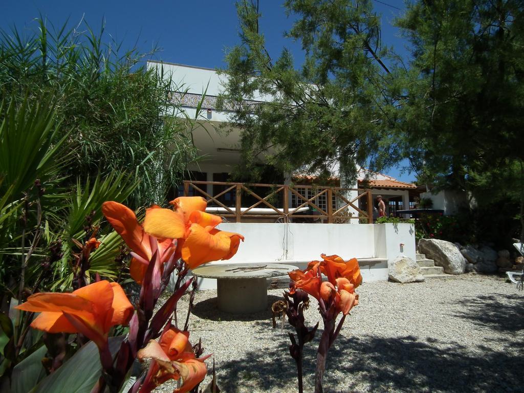 Da Silva Surfcamp Hostel Areia Branca Exterior photo